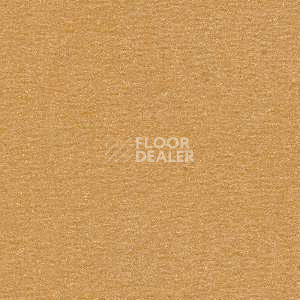 Ковролин Radici Nexus Biscotto 2407 фото 1 | FLOORDEALER